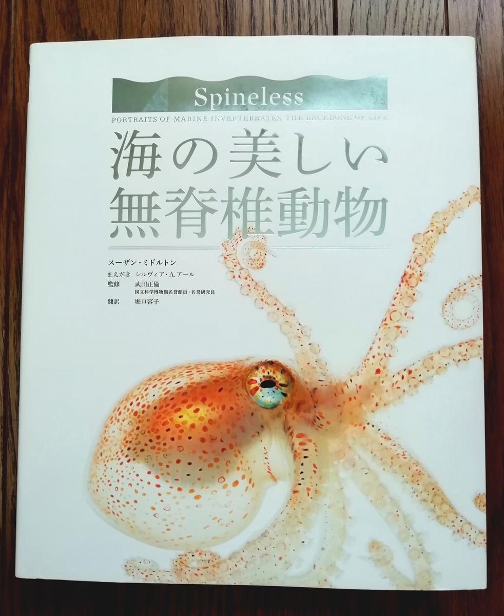 おすすめの動物本を紹介 海の美しい無脊椎動物 Sola Chan S Blog