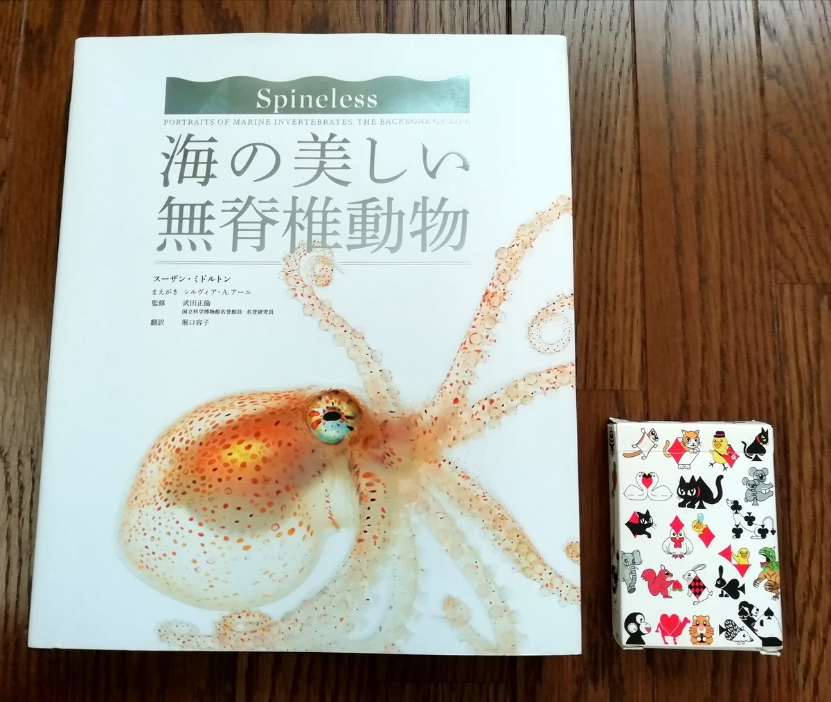 おすすめの動物本を紹介「海の美しい無脊椎動物」 - sola-chan's blog