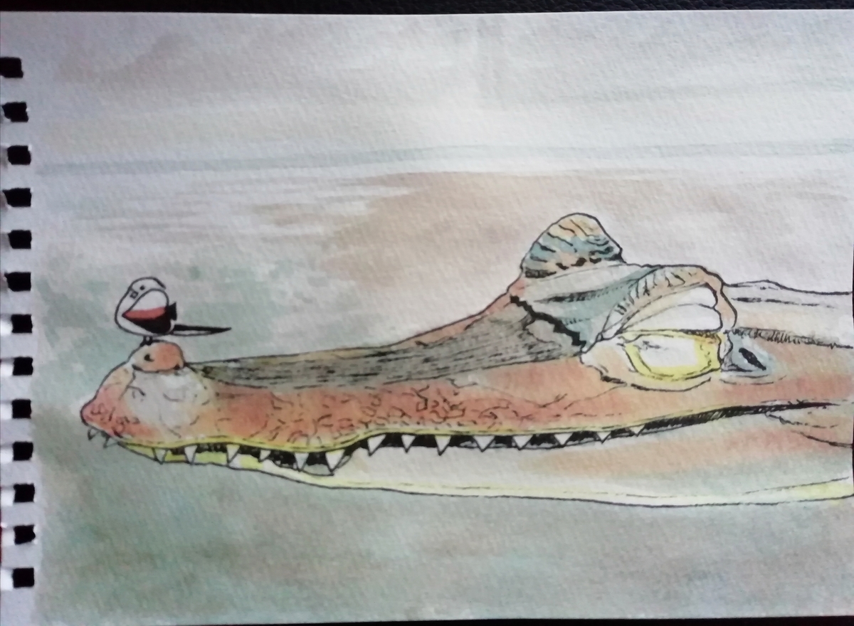 水彩画56枚目 ワニの上にシマエナガ Sola Chan S Blog