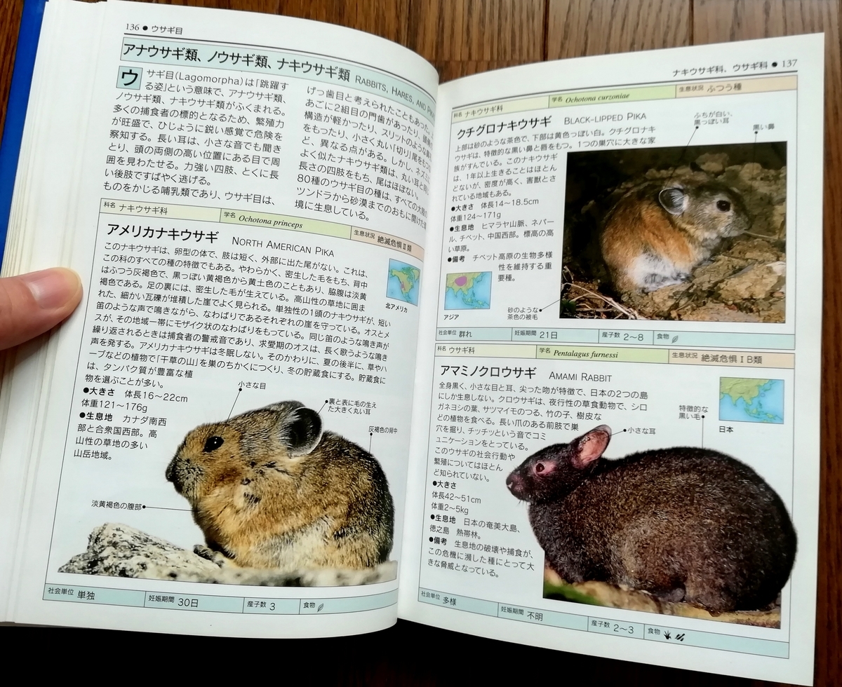 チェコの古い動物図鑑(1970年)/哺乳類図鑑 雰囲気◎/ チェコの古い動物図鑑(1970年)/哺乳類図鑑 雰囲気◎/ Yahoo