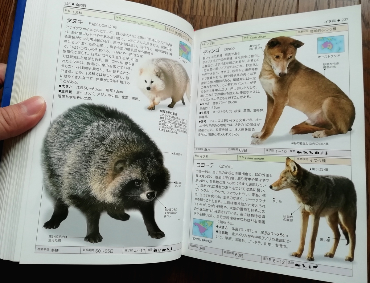 チェコの古い動物図鑑(1970年)/哺乳類図鑑 雰囲気◎/ チェコの古い動物図鑑(1970年)/哺乳類図鑑 雰囲気◎/ チェコの古い動物