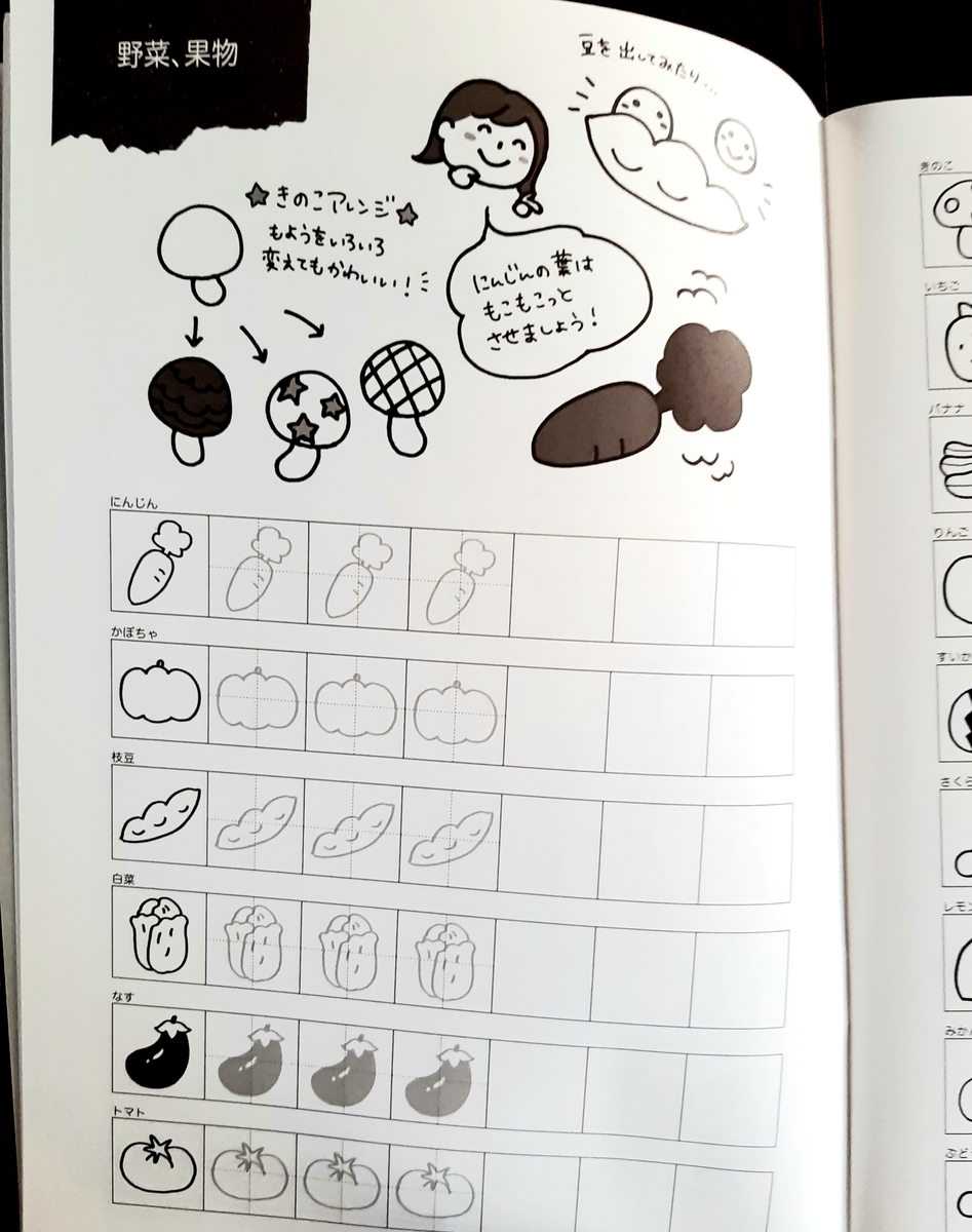 おすすめの動物本を紹介 大人のお稽古 イラスト練習帳 Sola Chan S Blog