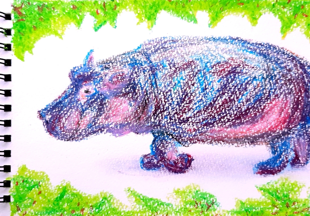 オイルパステルを使って描いてみた｢草間から現れたコビトカバさん 