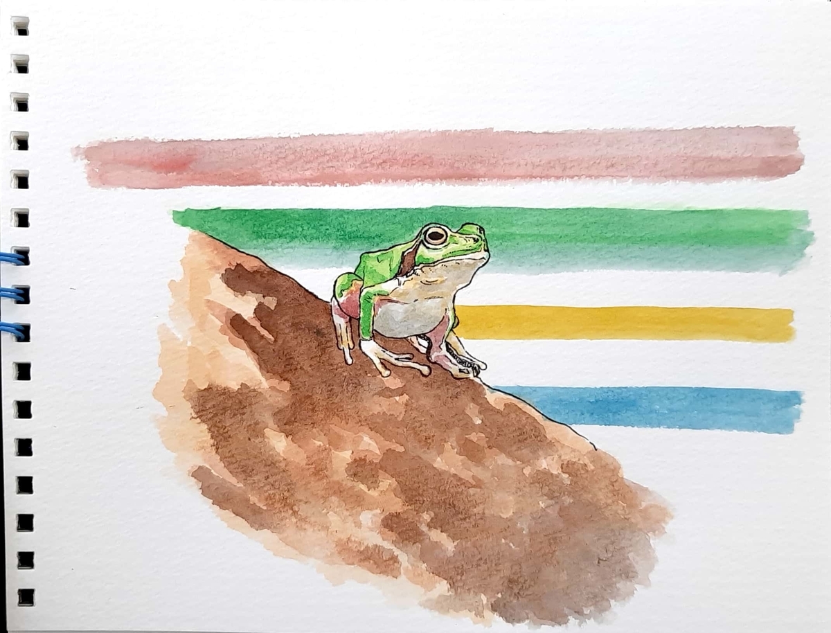 水彩画255枚目｢カエルさん跳ぶ前｣ - sola-chan's blog