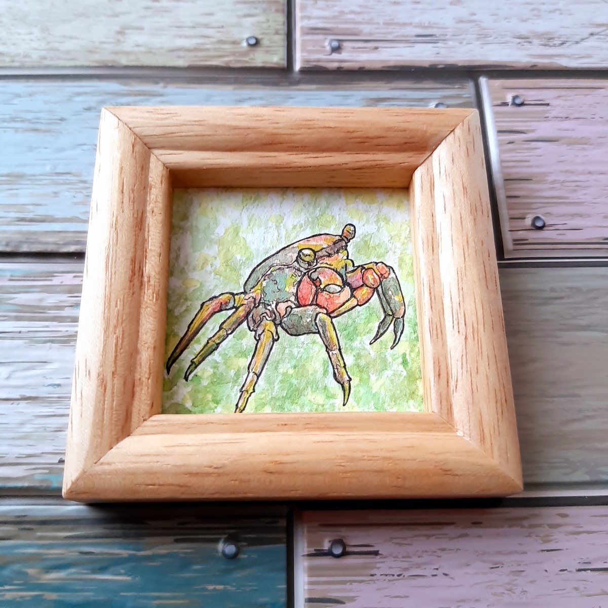 生物細密画（水彩）「サワガニ」 生物細密画「サワガニの子育て」 - メルカリ