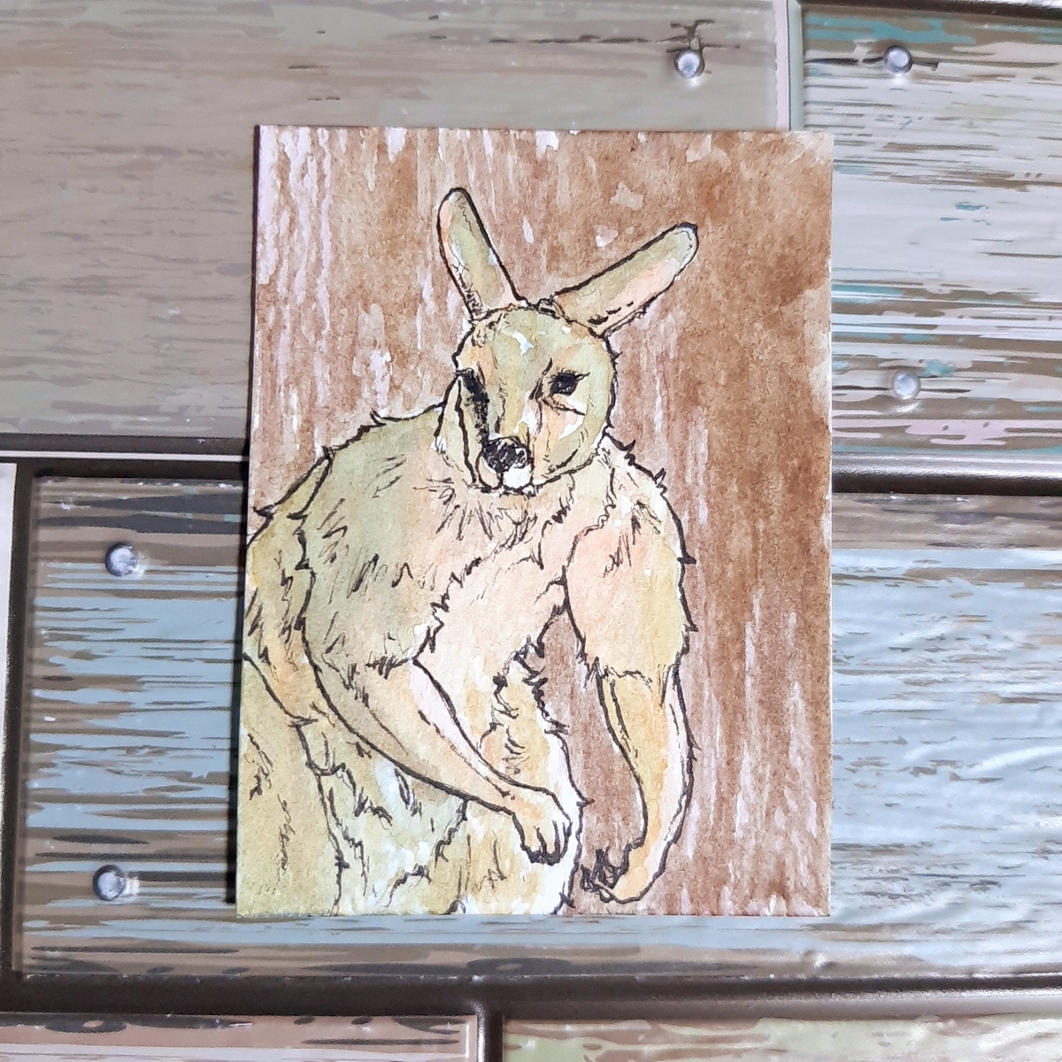 カンガルー絵画 アボリジニアート風 絵画 額縁付き カンガルーと月