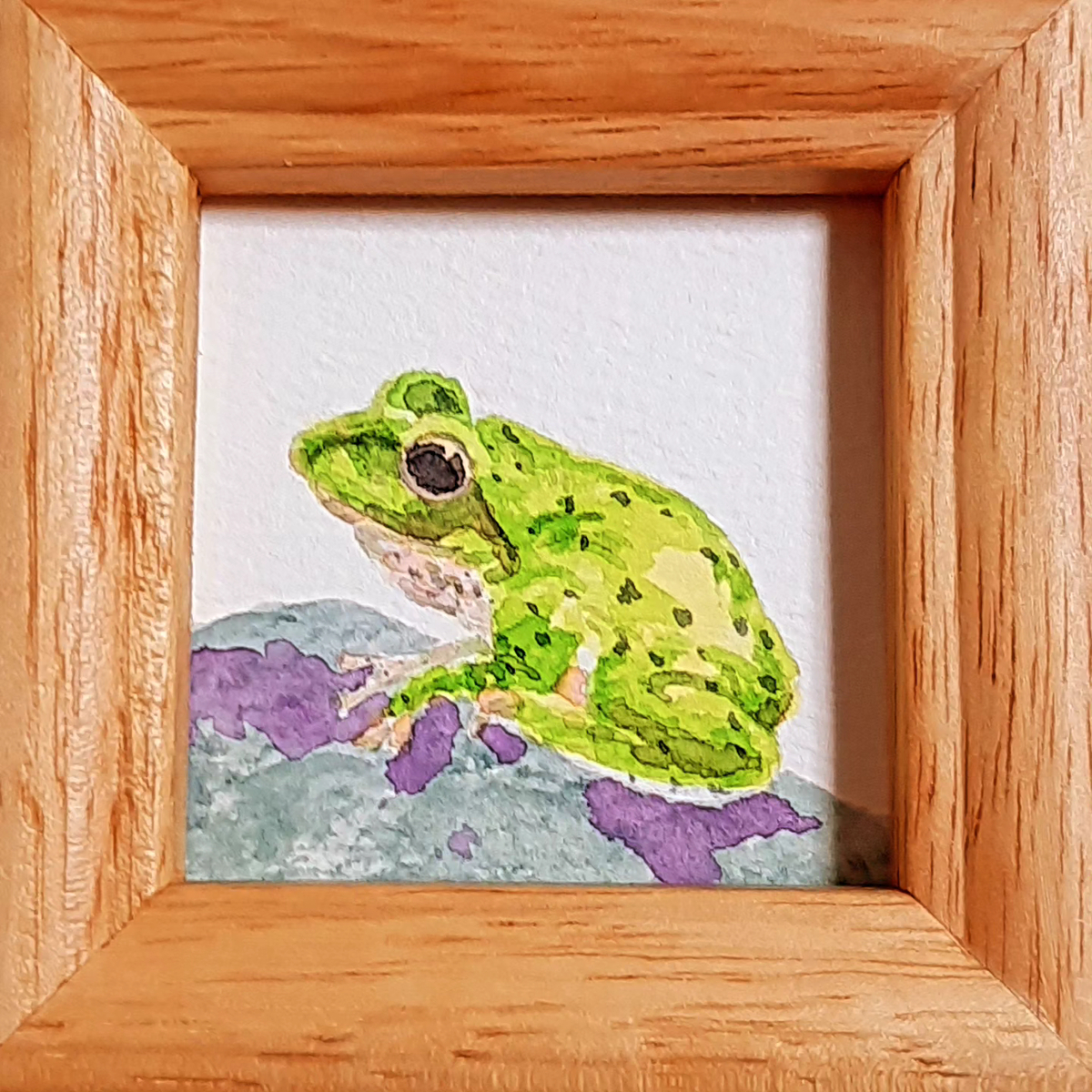 カエルさん大集合🐸🐸🐸🐸🐸🐸🐸 - sola-chan's blog