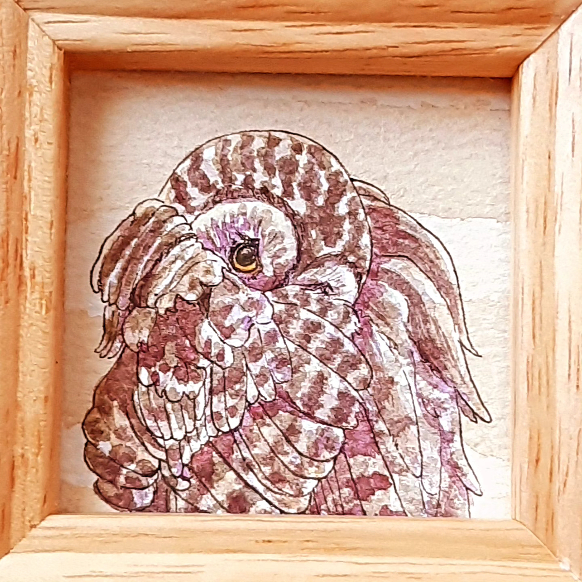 フクロウさん大集合！🦉🦉🦉🦉🦉🦉 - sola-chan's blog