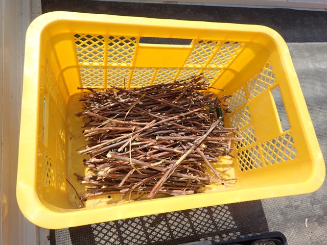 f:id:solachi:20160422122813j:plain