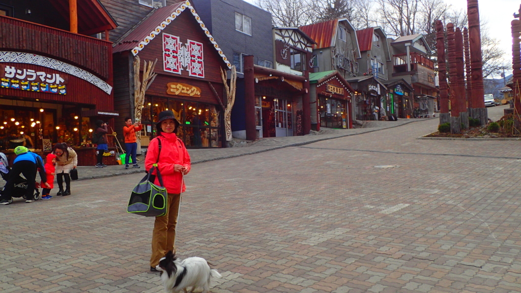 f:id:solachi:20180422164018j:plain