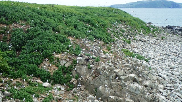 f:id:solachi:20180717100520j:plain