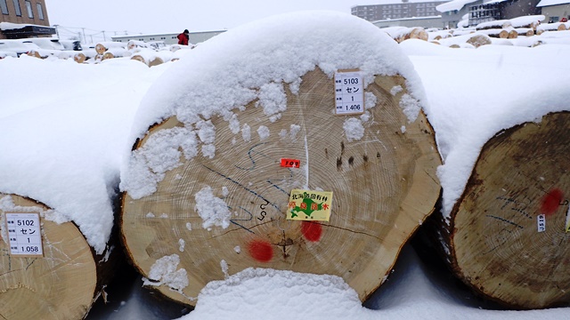 f:id:solachi:20190131121227j:plain f:id:solachi:20190131121227j:plain