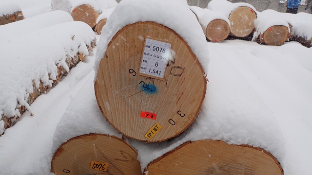 f:id:solachi:20190131121529j:plain f:id:solachi:20190131121529j:plain