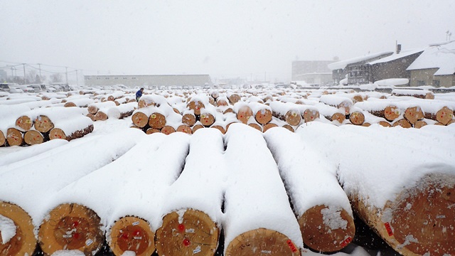 f:id:solachi:20190131122455j:plain f:id:solachi:20190131122455j:plain