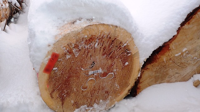 f:id:solachi:20190131122648j:plain f:id:solachi:20190131122648j:plain