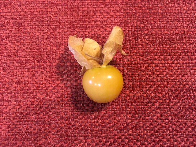 f:id:solachi:20190904202241j:plain f:id:solachi:20190904202241j:plain