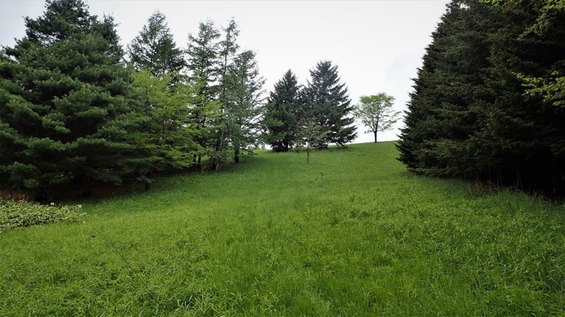 f:id:solachi:20210622224403j:plain