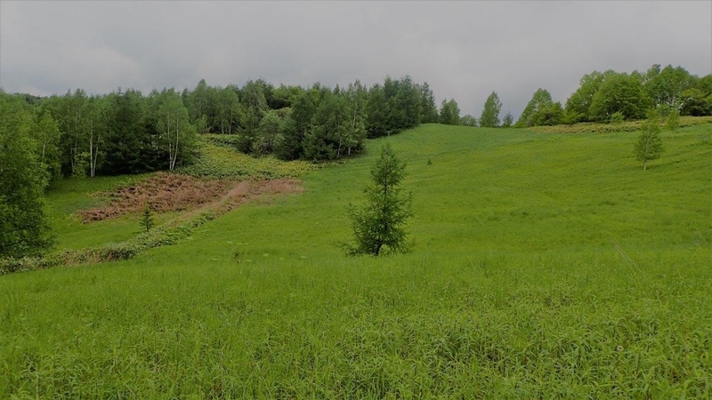 f:id:solachi:20210622224412j:plain