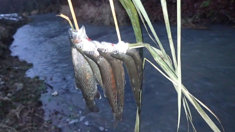 f:id:solachi:20211205210603j:plain