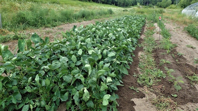 f:id:solachi:20211205223845j:plain