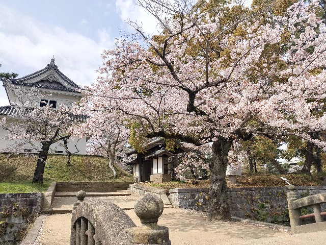 f:id:solahouse-meguri:20210401125009j:image f:id:solahouse-meguri:20210401125009j:image