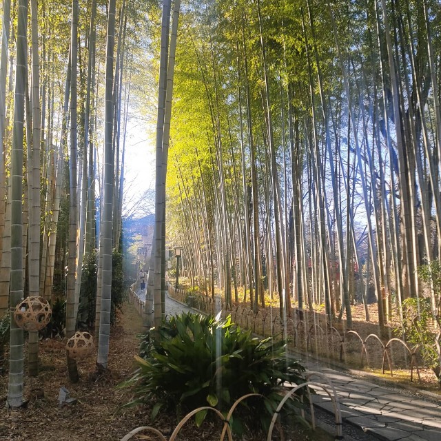 f:id:solahouse-meguri:20220106164618j:image f:id:solahouse-meguri:20220106164618j:image