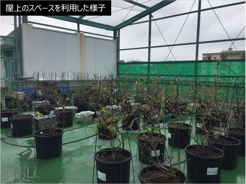f:id:solar-sharing:20200311084027j:plain f:id:solar-sharing:20200311084027j:plain