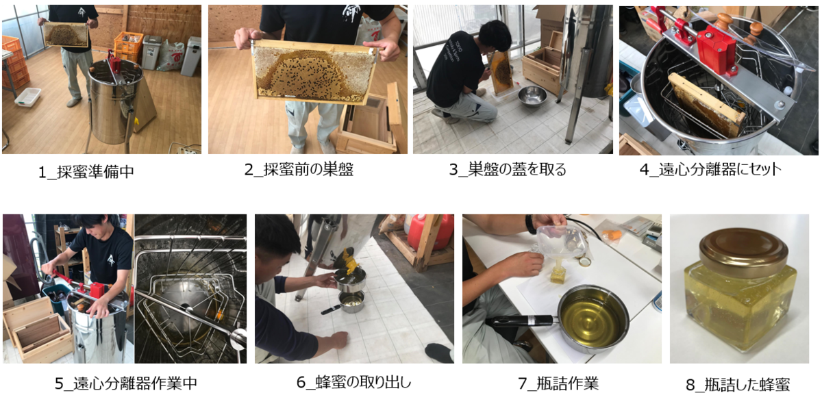 f:id:solar-sharing:20210629113746p:plain