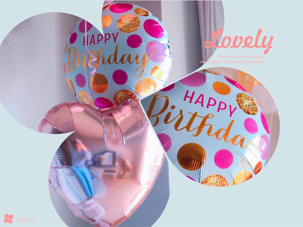 f:id:solare_life:20181111133939j:image