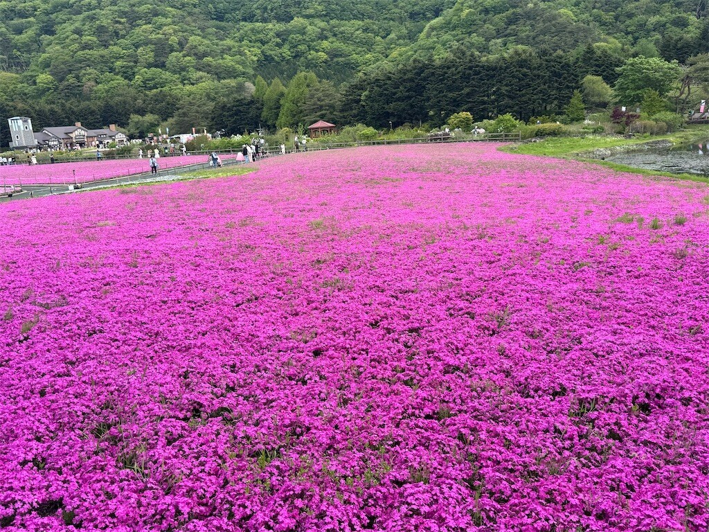 f:id:solaris58:20260524115233j:image