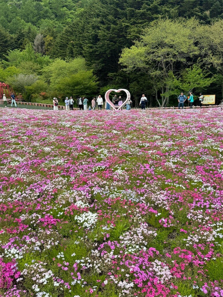 f:id:solaris58:20260524115236j:image
