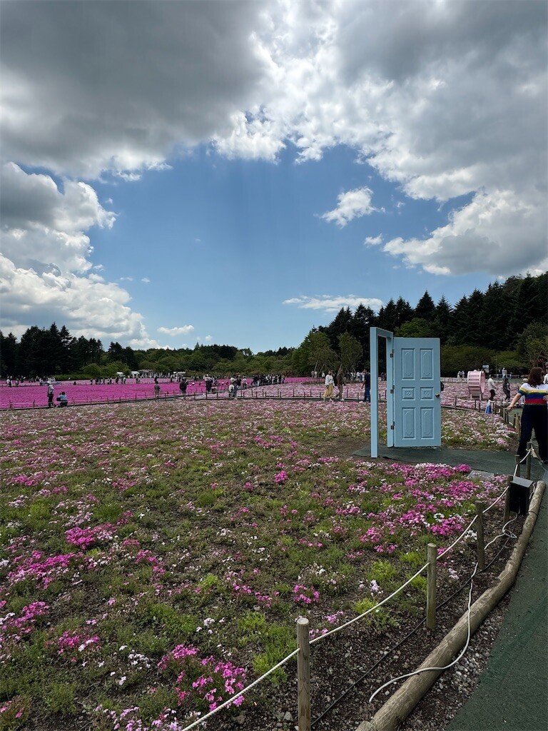 f:id:solaris58:20260524115603j:image