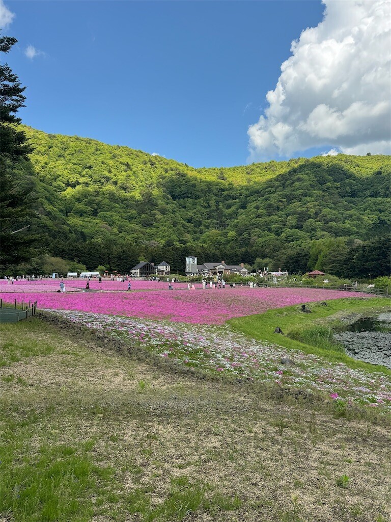f:id:solaris58:20260524115606j:image