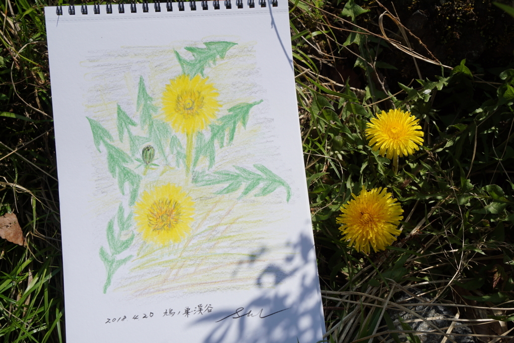 f:id:solcafe:20180420220200j:plain f:id:solcafe:20180420220200j:plain