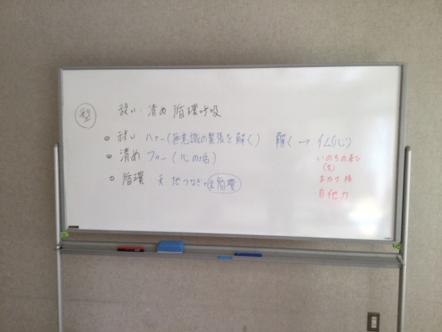 f:id:solcafe:20190505174035j:plain