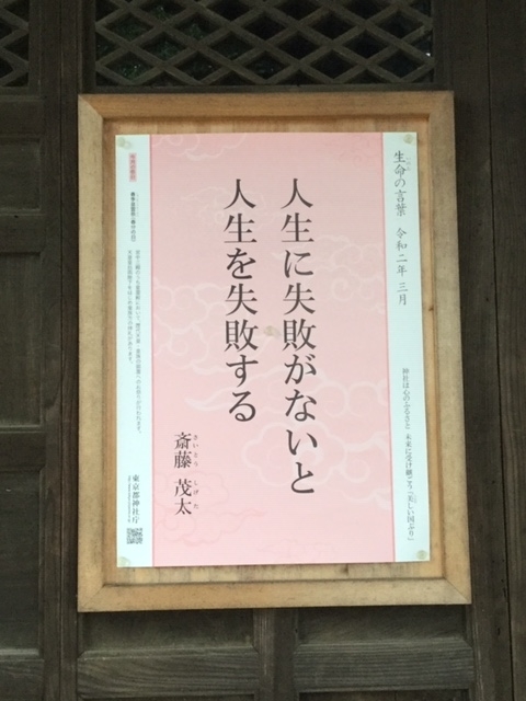 f:id:solcafe:20200304074338j:plain