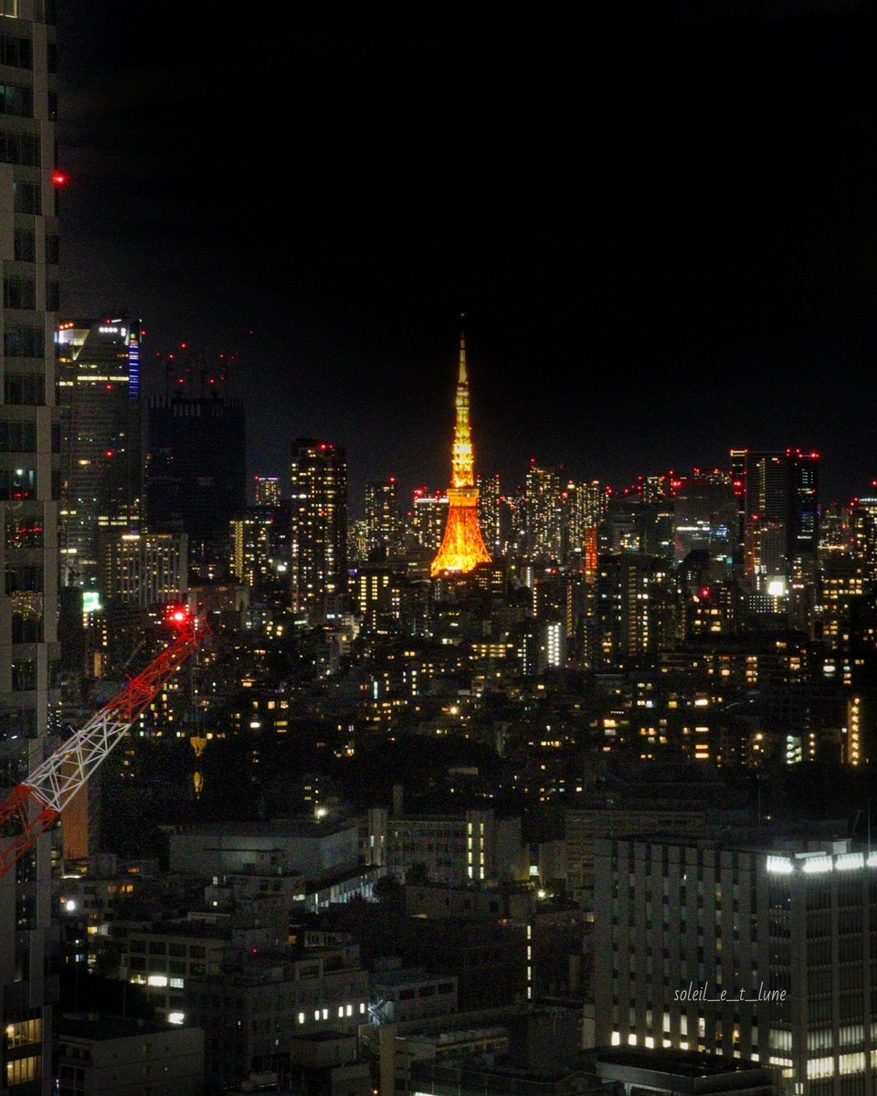 f:id:soleil_et_lune:20211106230105j:plain