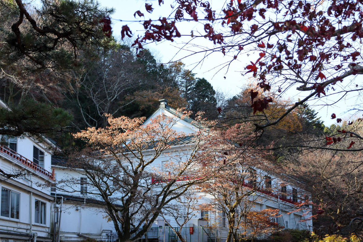 f:id:soleil_et_lune:20220110201703j:plain