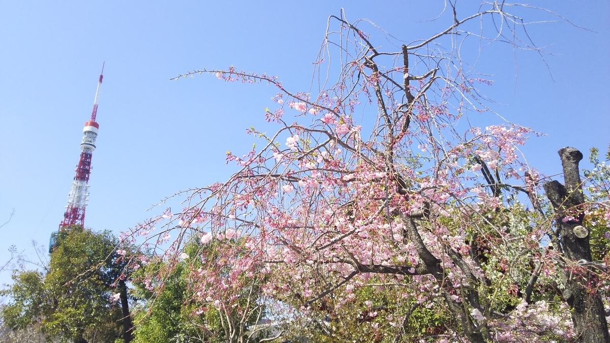 f:id:solid-sol-dev:20190403133031j:plain f:id:solid-sol-dev:20190403133031j:plain