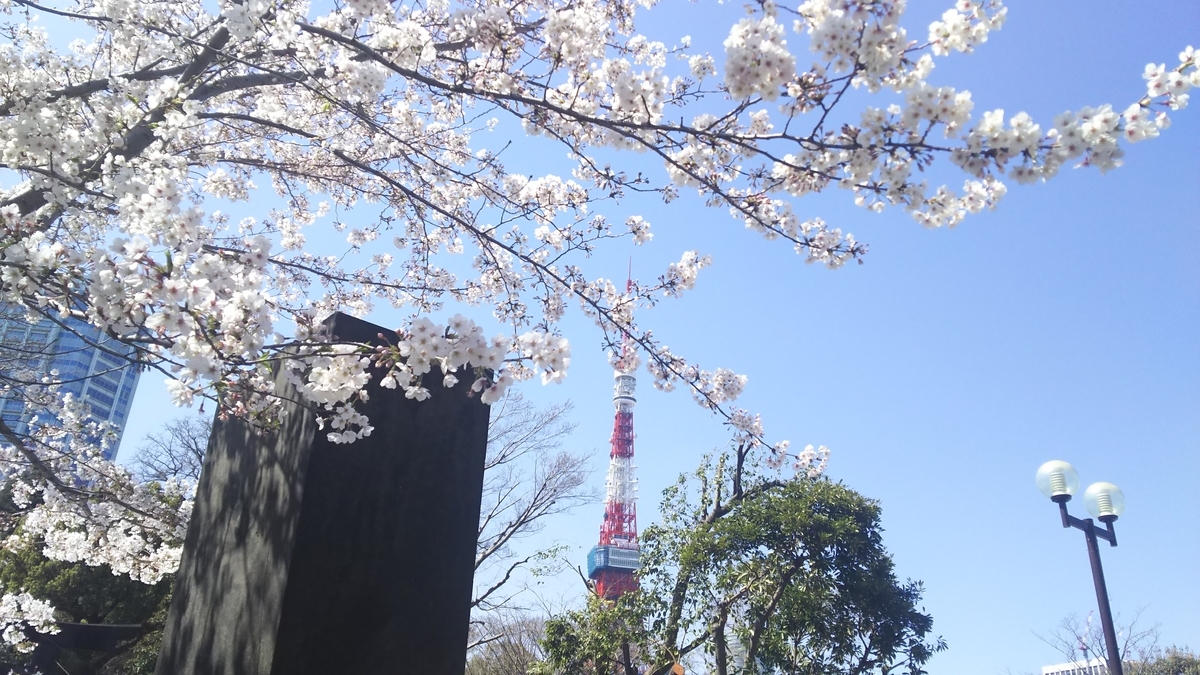 f:id:solid-sol-dev:20190403133035j:plain f:id:solid-sol-dev:20190403133035j:plain