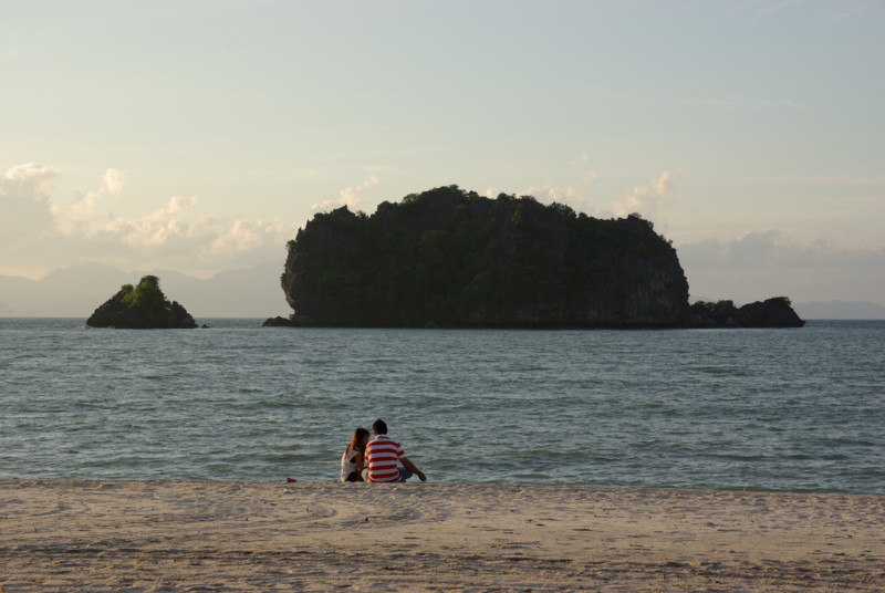 f:id:solidtron:20101111162951j:image
