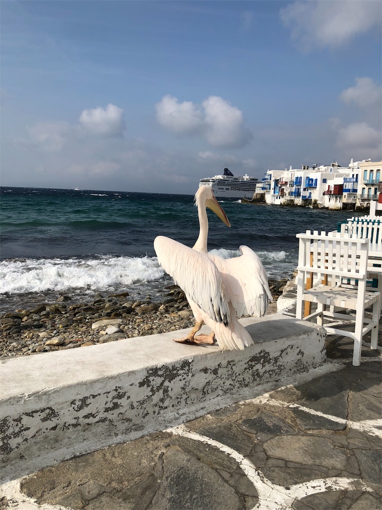 f:id:soliste:20181023203650j:image f:id:soliste:20181023203650j:image