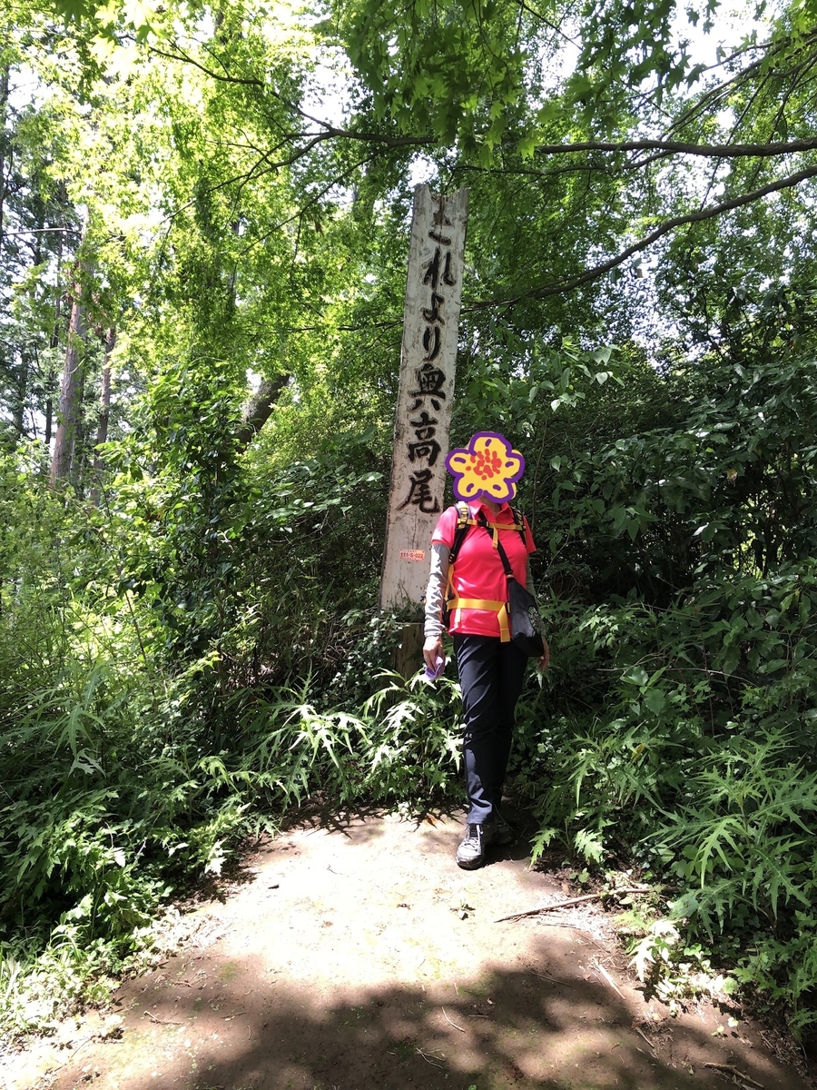 f:id:soliste:20190618174328j:plain f:id:soliste:20190618174328j:plain
