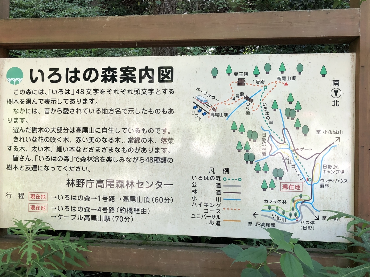 f:id:soliste:20190618174827j:plain f:id:soliste:20190618174827j:plain