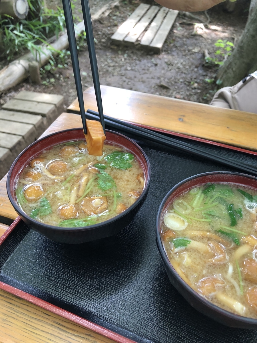 f:id:soliste:20190618180029j:plain f:id:soliste:20190618180029j:plain