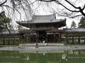 [京都旅行]宇治平等院