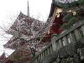 [京都旅行]清水寺