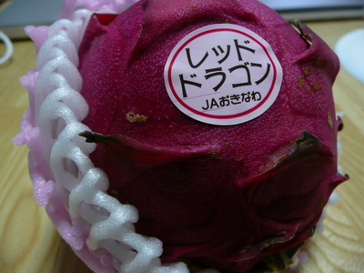 f:id:solitary_shell:20080705155509j:image