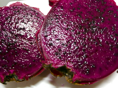 f:id:solitary_shell:20080705155849j:image