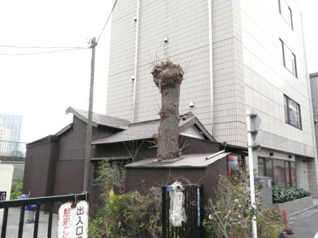 f:id:solitary_shell:20090118151338j:image f:id:solitary_shell:20090118151338j:image